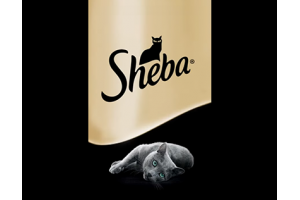 Sheba