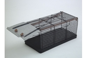 Traps for mice