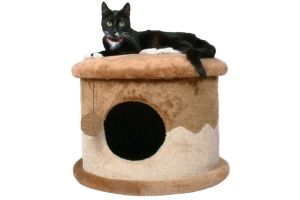 Cosmetics and Accessories