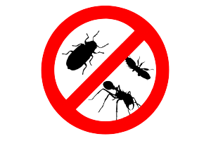Insecticides