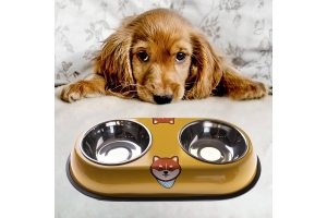 Accessories and toys for dogs