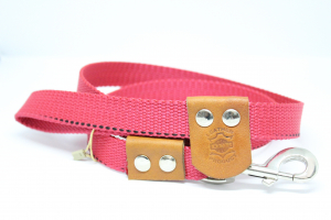 Dog leash Treg 2.5 / 120 cm