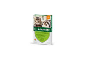 Advantage Spot On - Antiparasitic pipette for cats weighing up to 4kg