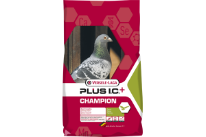 Plus I.C.  CHAMPION