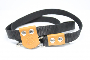Leash for dog Trega 2/120 cm
