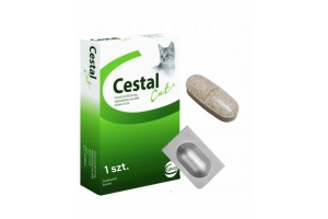 Cestal Cat