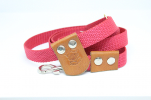 Dog leash Trega 2/160 cm