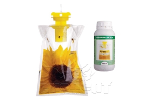 BAIT for hornets and wasps