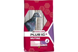 Plus I.C. MUTINE