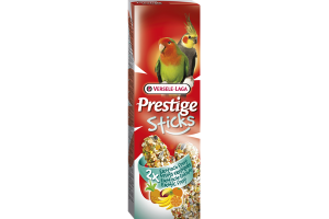 Sticks Big Parakeets Exotic Fruit