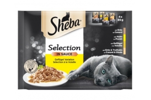 Selection in sauce  CHICKEN 4x85gr