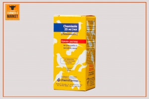 NEW!!!CHEMISOLE 2.5%