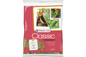 Classic  Parakeet