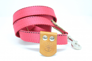 Dog leash Treg 2.5 / 160 cm